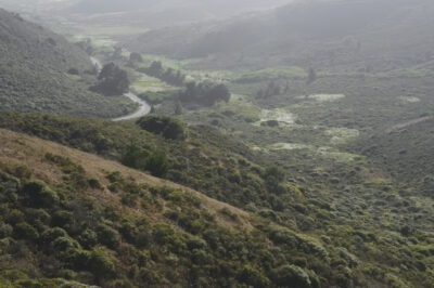 the Marin Headlands north of San Francisco, rolling green hills, afternoon light, a winding road and a tiny car in the distance