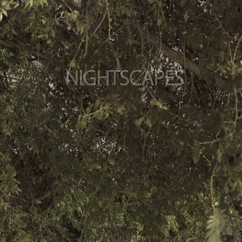 cover, oak tree leaves, Nightscapes