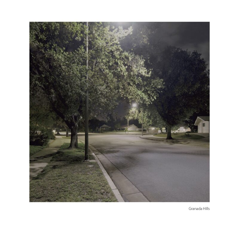 a suburban street at night, oak trees, sidewalks, and streetlights