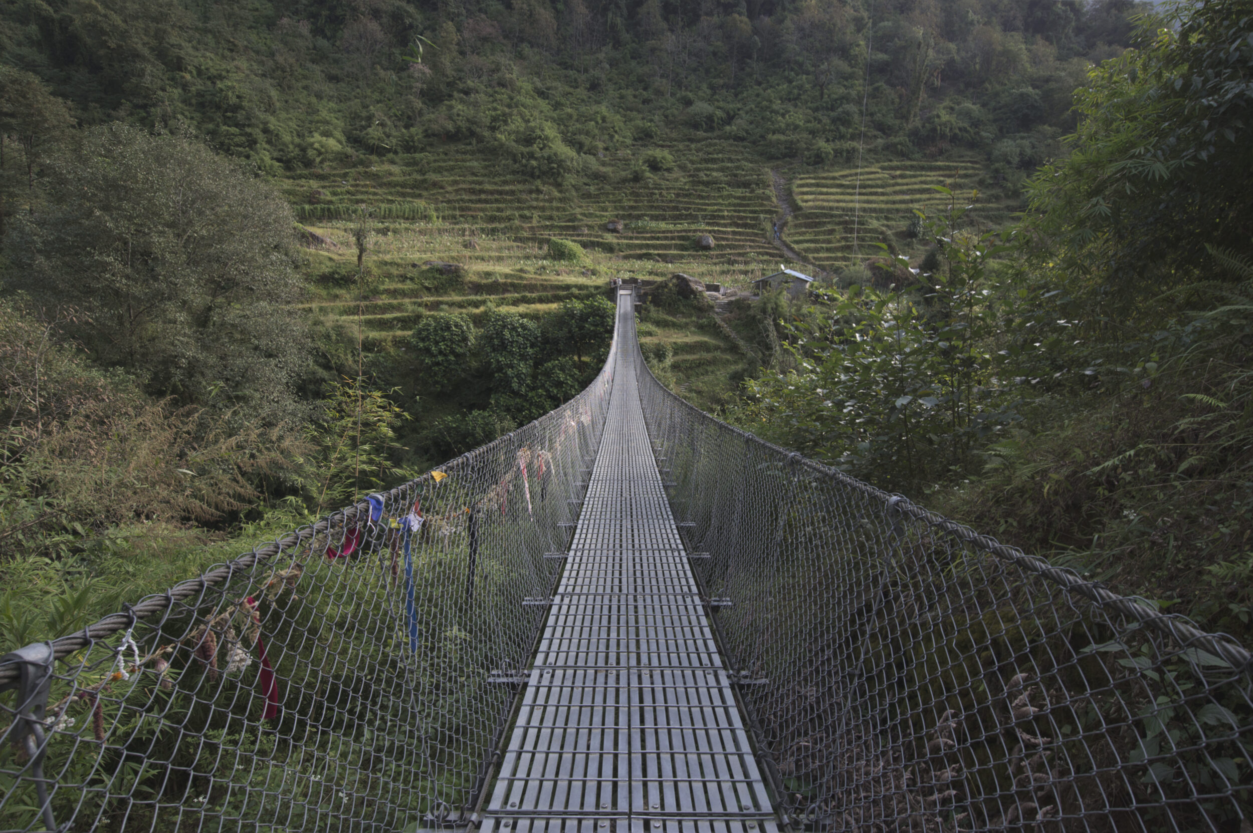 a metal bridge, a river crossing, terraced rice fields